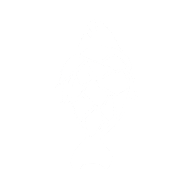 Logo La Trota Blu